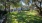 a large green dog park