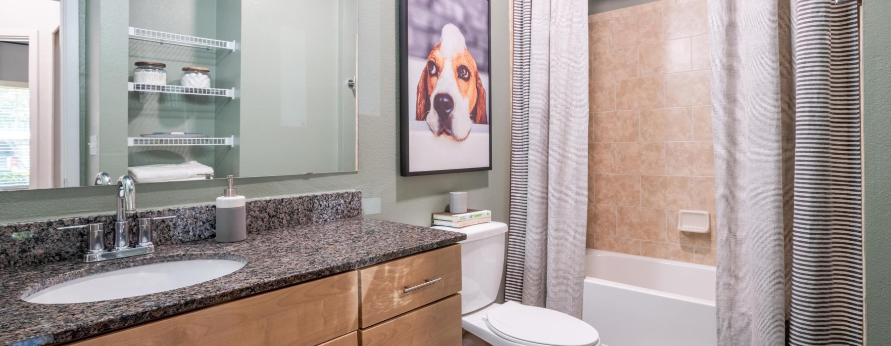 a bathroom with a sink toilet and a shower